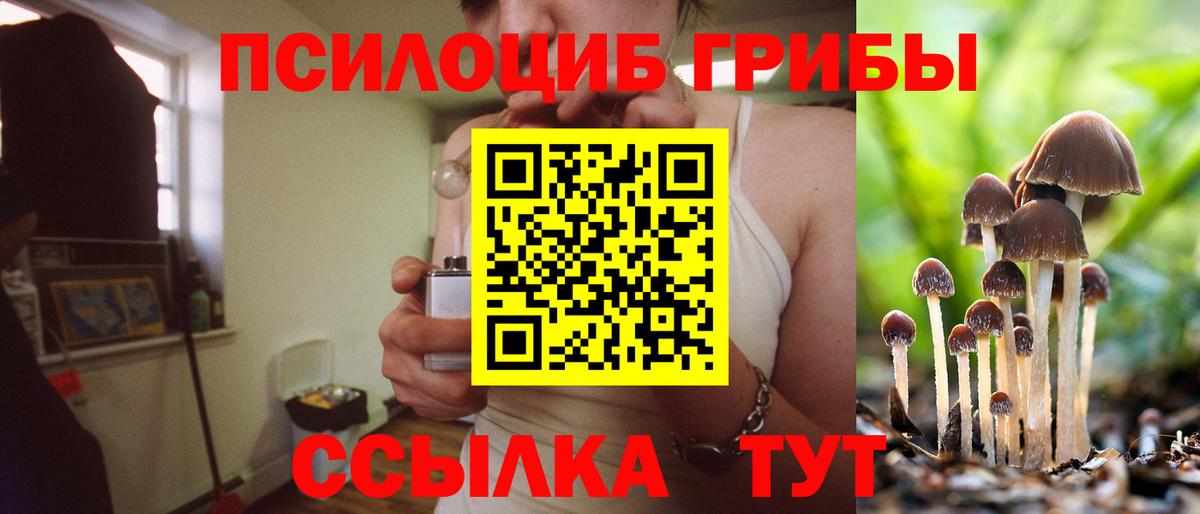 Туапсе  дарнет шоп  Вход с VPN  Галлюциногенные грибы прущие грибы 