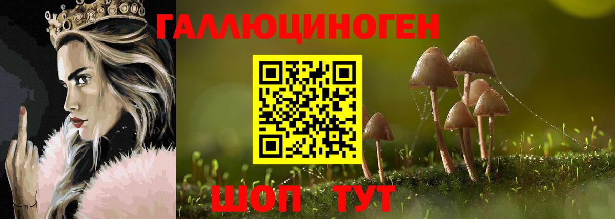 Псилоцибиновые грибы мицелий Туапсе